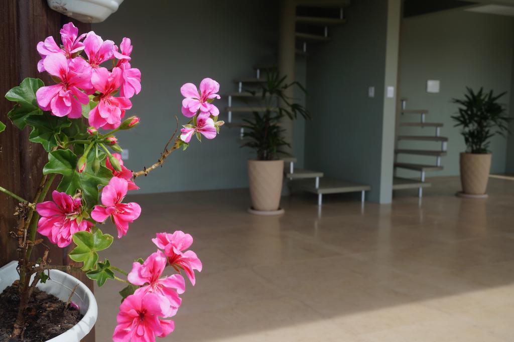 Pdr Suites Praia do Rosa Eksteriør billede